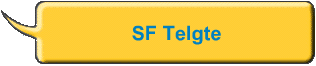 SF Telgte